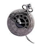 Toyvian 水耕栽培用 スポンジ 100個 無土壌栽培用 スポンジブロック 保湿 軽量 ガーデニングツール