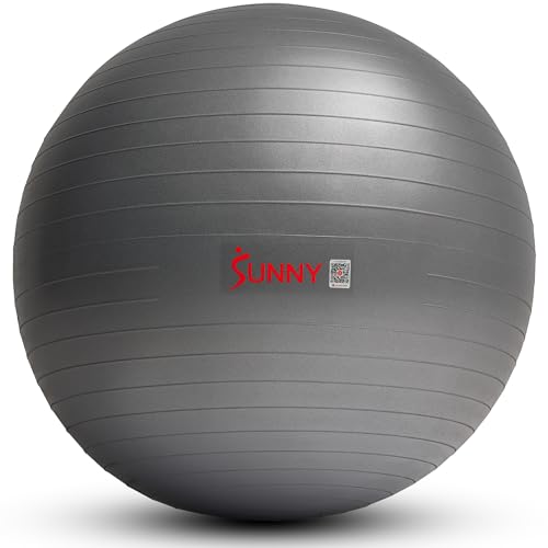 Premium Yoga Ball Medium 65CM Anti-Burst Exercise Ball for Workouts, Pregnancy, Physical Therapy, Stability Ball Chair Fitness, Extra Thick Yoga Ball with Pump - Sunny Health & Fitness SF-EB02-M