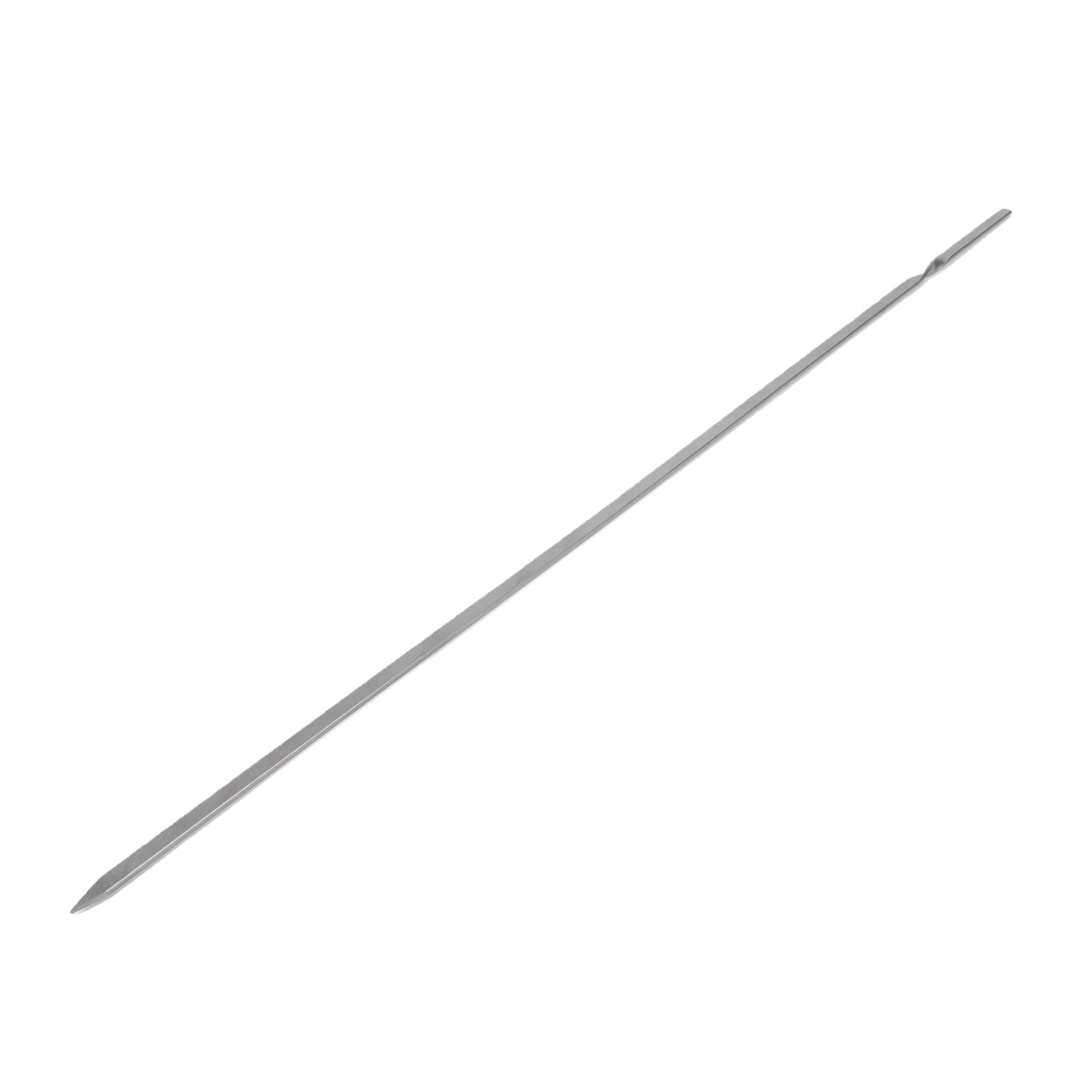 Bewinner Spiedini per Grigliare in Titanio, Confezione da 10 con Tubo di Stoccaggio - Bastoncini per Barbecue Leggeri e Resistenti per il Campeggio, Facili da Pulire e Resistenti Alla Ruggine (400 mm)