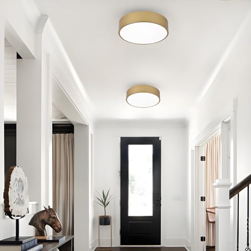 Image of 2-Light Modern Gold Flush Mount Ceiling Light 11.8 Inch
