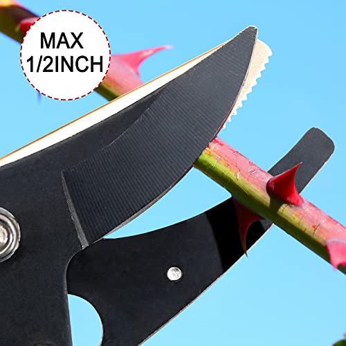 Byhagern 32-Inch Cut and Hold Pruners, Long-Reach Tree Pruner with Rotating Cutter Head, Long Pruning Shears for Garden, Fruit Picking, Branches Trimming