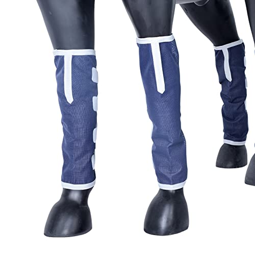 Amazon Best Sellers Best Horse Boots & Wraps