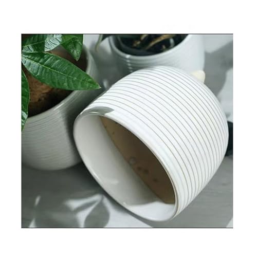 Pot de fleur en céramique pour salon moderne et usage domestique