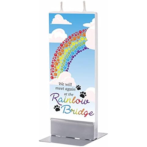 Naturesroom Pet Memorial Gifts Rainbow Bridge Hand Painted Candle. Cat, Dog Remembrance Gift to Honor The Family or Passing of a Loved Ones Pet, Sympathy Pet Loss Gifts, Memorial Candle Cover