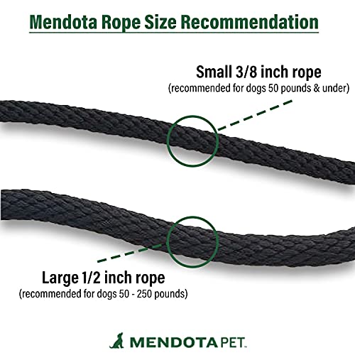 Mendota Pet Schnappleine, Lila, 0,95 cm x 1,8 m
