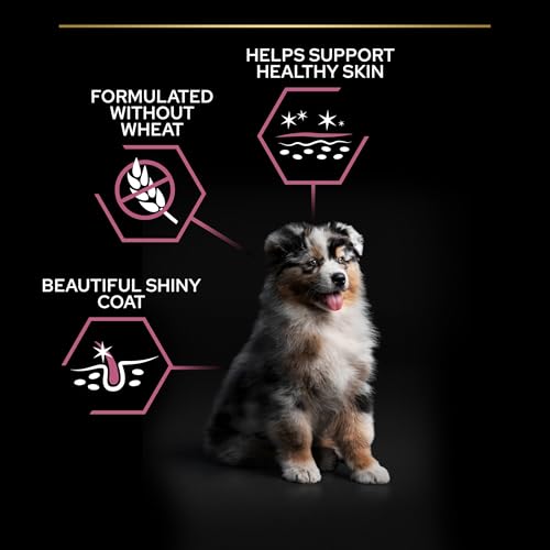 Pro Plan Medium Puppy Sensitive Skin, Welpenfutter trocken, reich an Lachs, 1er Pack (1 x 3 kg)