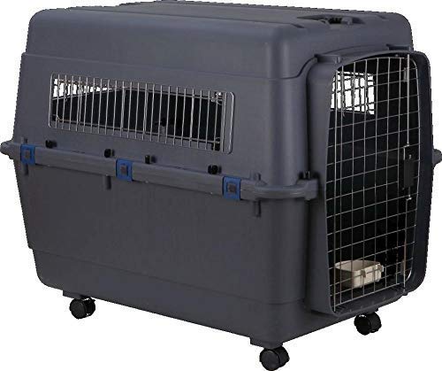 KittuPet Iata Approved Plastic KittuPet Flight Cage with Wheels (Black, 36-Inch) (B0BFP2CB2L) Amazon Price History, Amazon Price Tracker
