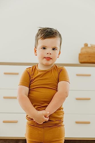 Copper Pearl Two Piece Short Sleeve Toddler Pajamas PJ Sets for Boys and Girls - Adorable Pattern Summer Pajamas Shorts to Keep Cool While Sleeping, Size 12 Months to 5T - Camel4