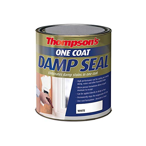 Ronseal RSLTOCDS25L 2.5L Thompsons One Coat Damp Paint - Seal