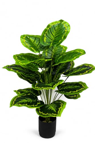 Image of Cocco.BUA Artificial Plant with Black Pot, 18 Leaves, 76 CM (2.5 Feet) (Calathea Orbifolia Plant)