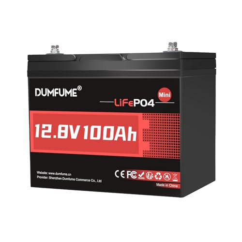 Dumfume 12V 100Ah Mini Lithium Batterie, 1280Wh 100A BMS Kleine...