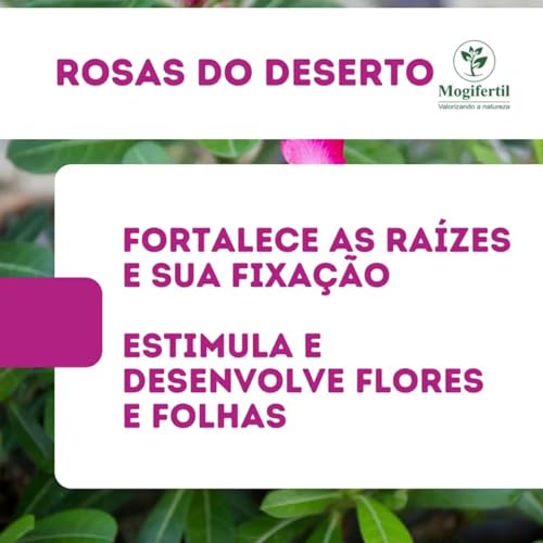 Substrato Para Rosa do Deserto 2Kg