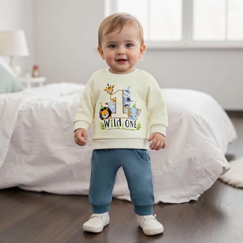 WZTYYDS Baby Boy First Birthday Outfit Long Sleeve Sweatshirt Tops Wild One Birthday Shirt Pants Set Fall Clothes3