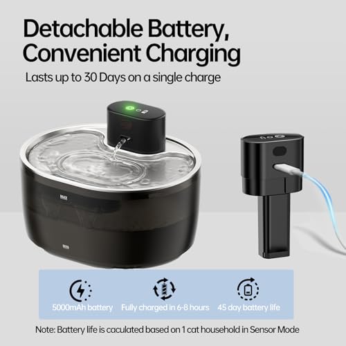 Dispensador de agua automático para gatos y perros miniatura 4