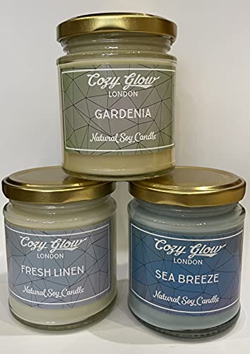 Bougies de soja anti odeur tabac cuisine Cozy Glow trio senteurs fraîches