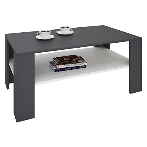 IDIMEX Table Basse Lorient, Table de Salon rectangulaire avec 1 étagère Espace de Rangement Ouvert, en mélaminé Gris Mat et Blanc Mat