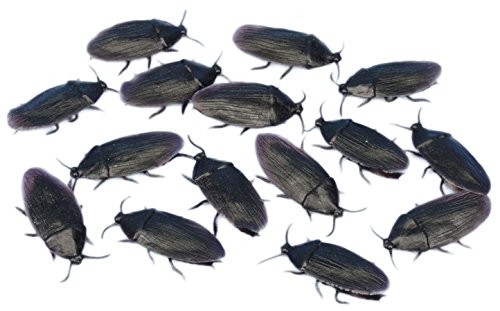 Juego de 5 cucarachas falsas