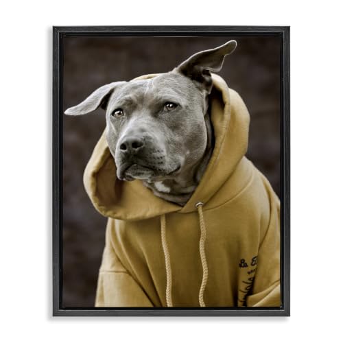 Smiling Labrador Hooded Sweatshirt, 17 x 21 Inch Canvas in Floater Frame