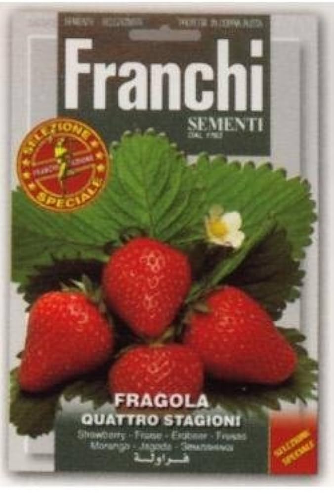 【いちごさま】ご購入品①②③④★ とくしまオーガニックいちご・中粒(18粒 さちのか) 1箱