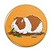 Guinea Pig Eating Pinback Button Pin Badge - 2.25