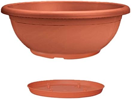Veca - Wide shallow plant pot with saucer, 30 x 11cm, Terracotta