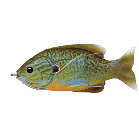 Rapala Scatter Rap Minnow Lure, Rainbow Trout, 11cm