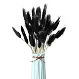 Pampas Gras Getrocknet Schwarz, 60 Stück Pampas Gras Dekoration Natürliche Trockenblumen Set, Trockenblumen Zierpflanzen Naturpampas Gras für Hochzeit Blumenarrangements Wohnkultur