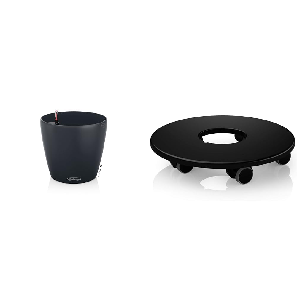 Pot de fleurs extérieur et intérieur Lechuza pour sublimer votre terrasse