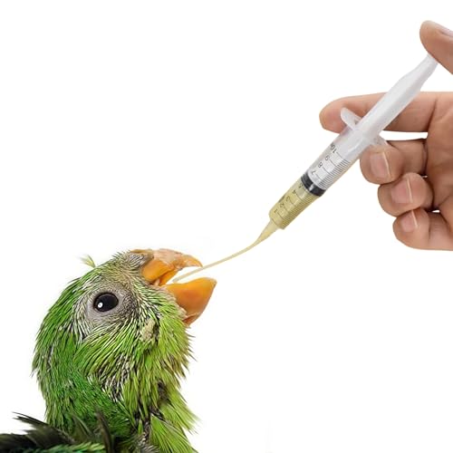 Baby Vögel Fütterung Spritze Set, Enthält 12 Jungvögel Füttern Schlauch, 1 Stück eine 10-ml-Spritze, Jungvögel Füttern Spritze, Ernährungssonde, Handfütterungszubehör für Vögel Kleine Tiere Haustier