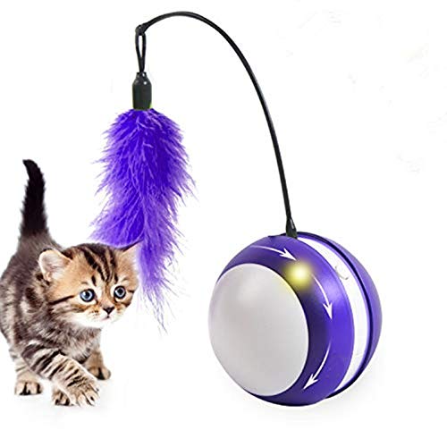 HouSou Interactive Cat Toys Ball, Automatic Interactive Cat Toy 360 Degree Self-Rotating Ball Build-in Spinning Led Light and Feather for Indoor Cat, Kitty, Kitten Exercise Toys (Purple)
