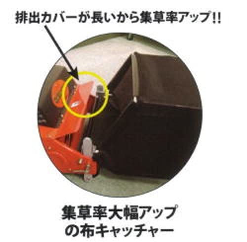 Amazon | キンボシ(Kinboshi) ゴールデンスター 5mmが刈れる日本