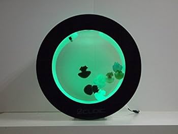 Orbit 20 Desktop Jellyfish Aquarium (Tank Only) : Amazon.com