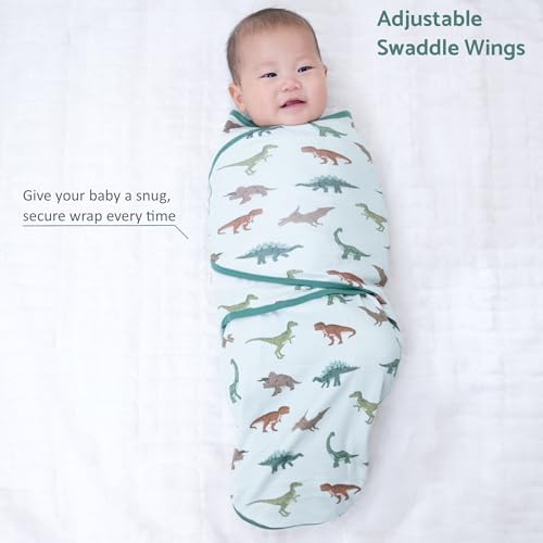 Image of LollyBanks Baby Swaddle, 100% Cotton Swaddle Sack for 3-6 Months Boys with Easy Change Zipper, Soft and Breathable Baby Wrap, Gentle Infant Sleep Sack, Newborn Essentials Must Haves (Dinosaur Print)