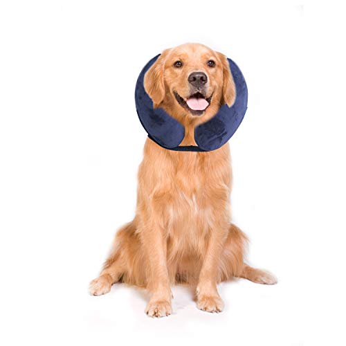 zen collar petsmart
