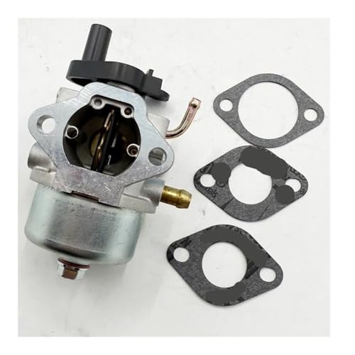 Carburateur Br 801255 solution contre les fuites et démarrages difficiles