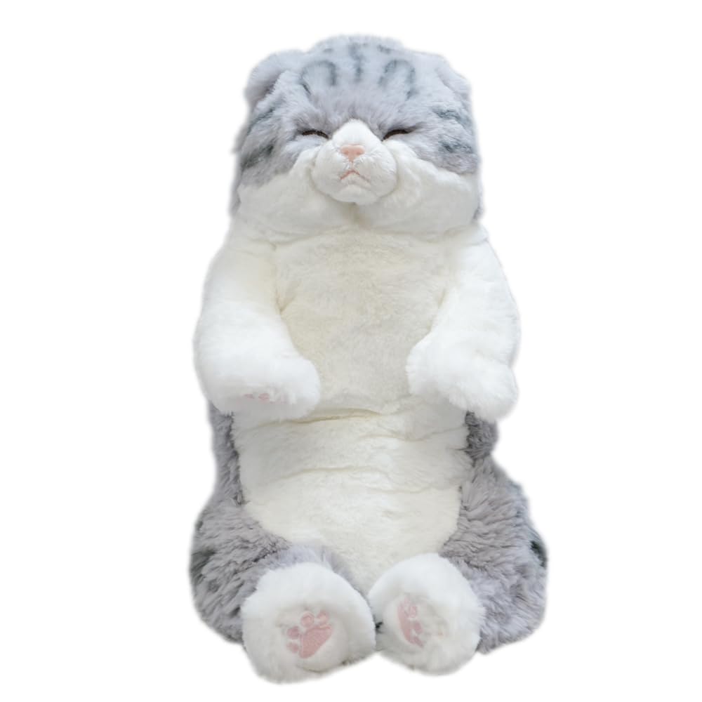 Amazon.co.jp: サンレモン ひざねこ すやすや M スコティッシュ