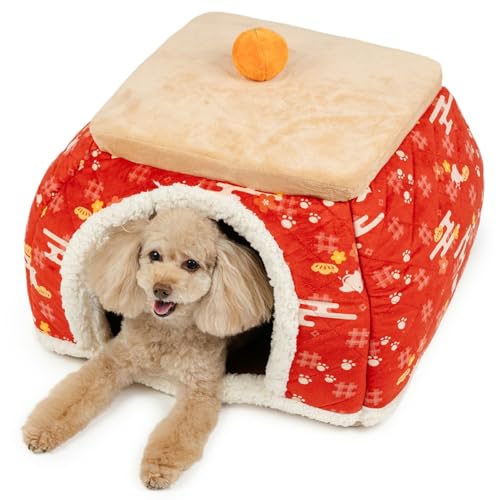 ybgp_CX  L 璹  nEX p (50cm) h[^xbh h[^nEX h[ ybgnEX ybgxbh  a R[ht t R^c {A g ݂ ycX72XܓWJ2025/10/1