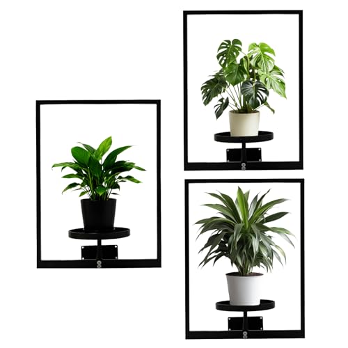 CanVrinxol Vertical Garden Plant Frame, Metal Wall Hanging Plant Holder for Indoor Outdoor Decor, Includes 2 Black Modern Picture Frame Plant Stands (3 pack rectangle)