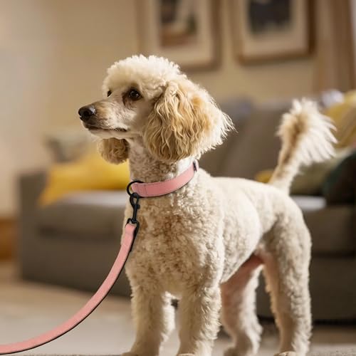 Image of Didog Soft PU Leather Dog Collar, Breathable Padded, Pink, Neck 11-14 inch