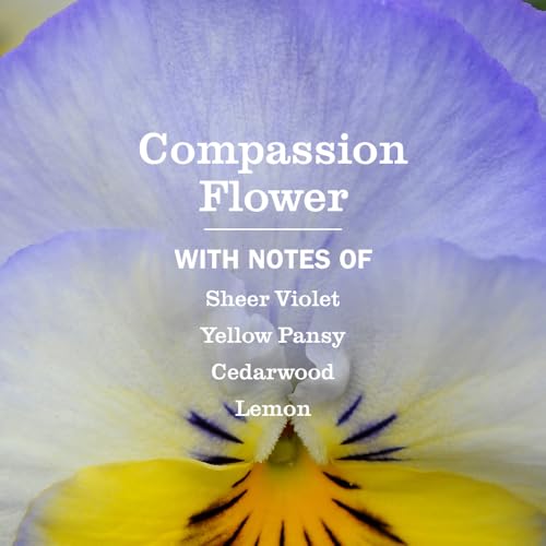 Image of MRS. MEYER'S CLEAN DAY Multi-Surface Everyday Cleaner, Compassion Flower Scent, 16 Fl Oz Bottle - 3 Pack