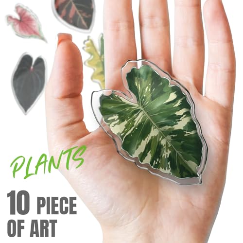 Imanes decorativos para nevera plantas hoja 10 unidades miniatura 2