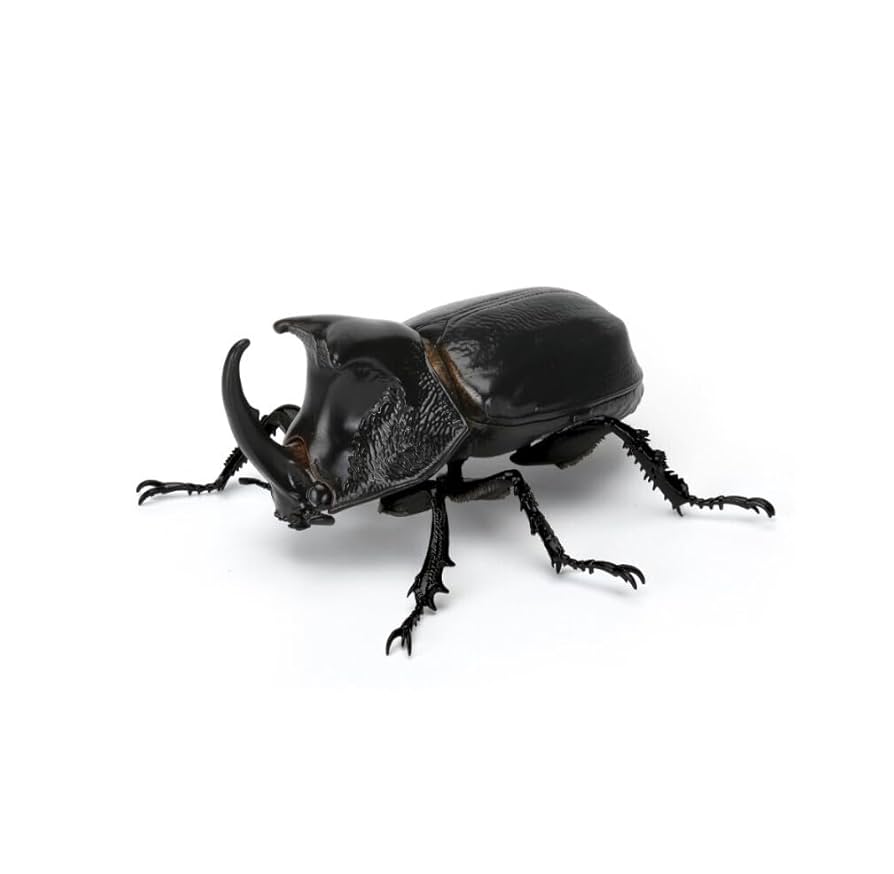 【カモノハシ太郎】 カモノハシのエアロさん (@NikonPAJERO_EVO) / X