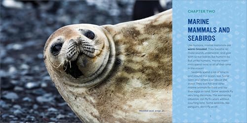 Callisto Kids Hestermann, Bethanie Ocean Animals For Kids: A Junior Scientist'S Guide To Whales thumb #1