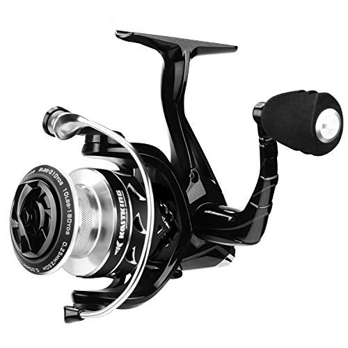 KastKing Valiant Eagle Spinning Fishing Reel,Carbon Version,Size 1000