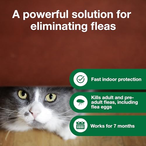 Advantage 3-Pack Household Fogger