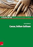 gallisches dorf asterix bretagne  Caesar, Bellum Gallicum: explica! - binnendifferenzierte Lektüre zum Falten