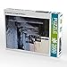 CALVENDO Zingst Puzzle de Pont de mer avec Drapeaux de Glace 2000 pièces Taille 67 x 90 cm Image de Grobelny Renate