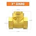 GASHER 1PC Swing Brass Check Valve DN80 3