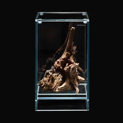 WabiFlur - Natürliches Drift Holz für Aquarium Nano Garden und Terrarien - Schafft einen Wilden und einzigartigen Ambinete, Größe Medium Einzelstück 15-20 cm