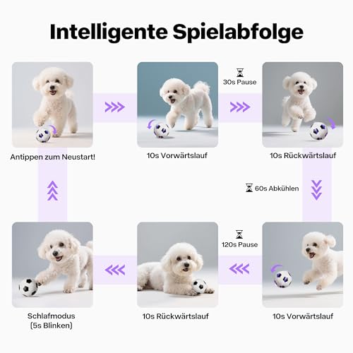 Pet Prime Interaktiver Spielball für Hunde Typ-C Ladung Intelligenter Sensor Hundespielzeug elektrischer Ball mitteler großer Hunde Fußball 8cm Robust Sicher & Wasserfest für Innen/Außen (Fußball)